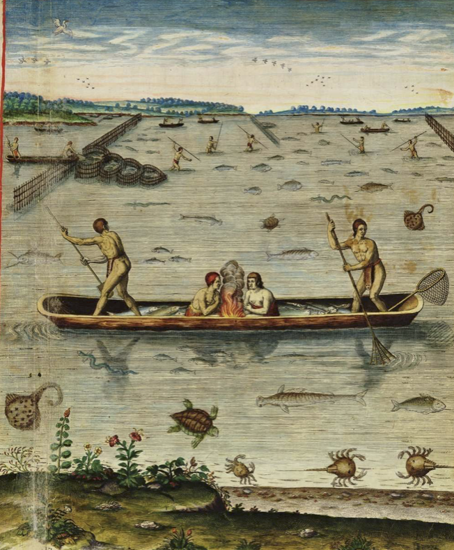 Asserting Onkwehón:we Sovereignty: The Tuscarora Resistance and Resilience Against Colonial Divide-and-Conquer Tactics.